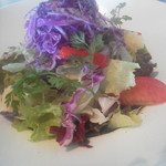 ビストロ セレニテ - 