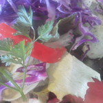 ビストロ セレニテ - 