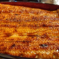 入谷鬼子母神門前のだや - 