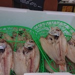 桝谷鮮魚店 - 