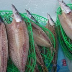 桝谷鮮魚店 - 