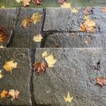 RuzeVilla - アプローチの階段