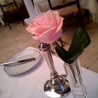 マダム・トキ - テーブルのお花はバラでした。