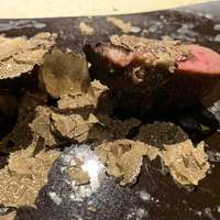 神戸牛炉釜ステーキ GINZA KOKO炉 - 黒トリュフがたっぷり