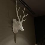 ブレストンコート ユカワタン - 店内