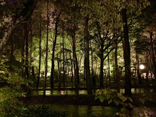 ブレストンコート ユカワタン - 外観