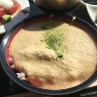 浅草むぎとろ 本店 - 味付とろろ