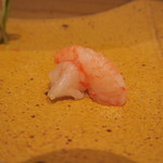 鮨 山浦 - 牡丹海老