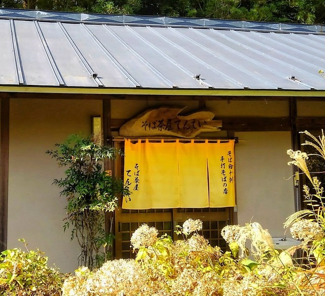 そば茶屋てんえい - 泉崎（そば）の写真