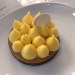 119441227 - タルトシトロン