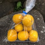 鮎の庄 - MSサイズ7個入り500円