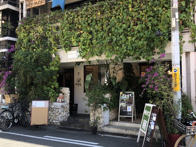 閉店 てぃーあんだ 堀江店 四ツ橋 沖縄料理 食べログ