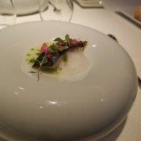 ジョンティ アッシュ - 