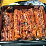 高橋屋 - 料理写真:特上うな重！焼きが香ばしい！渋みが鼻から抜ける！大人のうな重だ！！