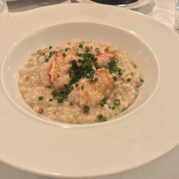 カーザ ヴィニタリア - 