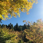 美山荘 - 山の紅葉