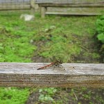 美山荘 - 外観：赤とんぼ