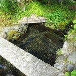 美山荘 - 外観：鯉の生け簀