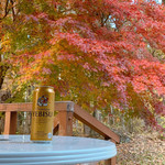 新日鐵住金名古屋きそこま山荘 - 庭の紅葉とヱビス