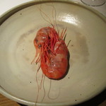 カセント - たっぷり子持ちの茹でた海老