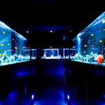 秋葉原最大級アクアリウム 雫