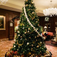 スプレンディード - エントランス