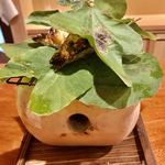 御料理 古川 - 琵琶湖産 子持ち鮎の塩焼 緑酢で