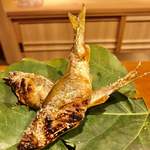 御料理 古川 - 素晴らしい 味わいで 日本酒が進みすぎました～