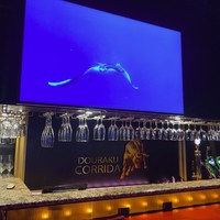 国産熟成焼肉 肉バル ドウラクコリーダ ランドマーク店 - 内観