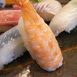 玄海鮨 - エビ です
