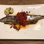 コルツ - THEさんま　