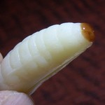 赤いテントのコーヒー店 - 料理写真:おんちゃま君