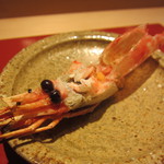 すゝき野 鮨金 - えびのあたま