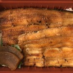 つきじ宮川本廛 - うなぎ弁当 松 120g 3100円 (税込)
2019年11月9日夜