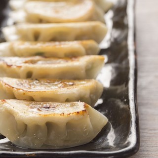 Gyoza / Dumpling