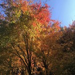 あしぇっと八ヶ岳 - 八ヶ岳きれいすぎるー