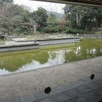 フォレストイン伊万里 レストラン - ガラス越しに見える池