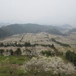 フォレストイン伊万里 レストラン - 伊万里梅園の全景（丘の上から）