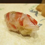 鮨旬美西川 - 三河一色の大きな（特大）車海老を茶釜で加熱して余熱で蒸らした特大 車海老。 　　　　　2019.11.02