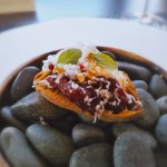 Felicelina - アミューズ　和田漁港より　ミンククジラ