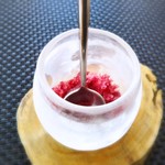 Felicelina - 口直し　シャーベット