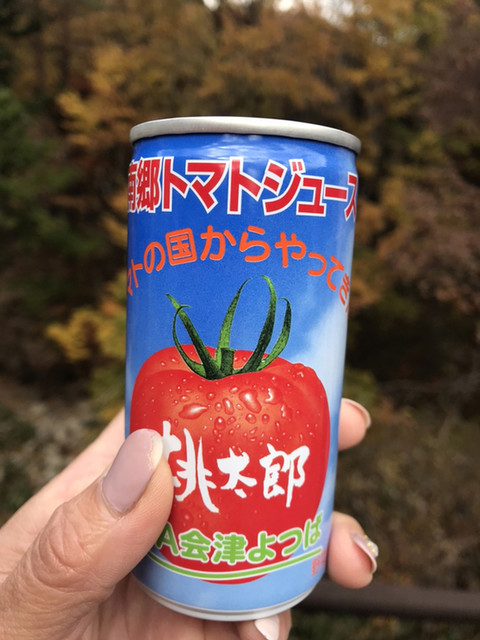 道の駅きらら289 物産館（ニーパーキュー） - 南会津町その他（道の駅）の写真