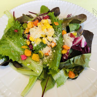 オステリアガウダンテ 神戸ハーバーランド店 - 