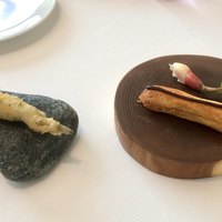 プレヴナンス - 