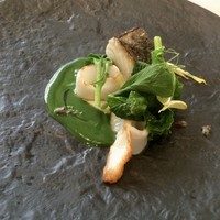 プレヴナンス - 