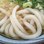 金比羅製麺 神戸青木店 - 