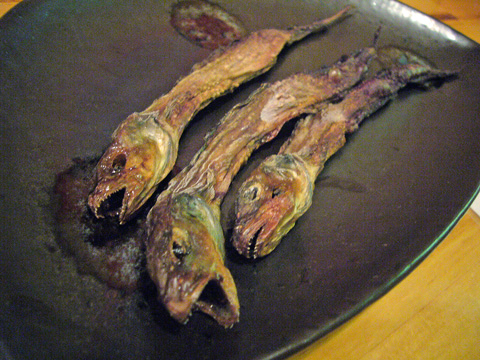 げんげ畑 u2026 美味しい魚がお得です』by guinnessbook : 【閉店】げんげ 