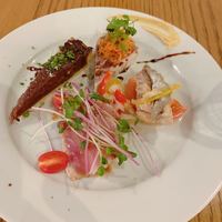ブラチェリア バーヴァ - 