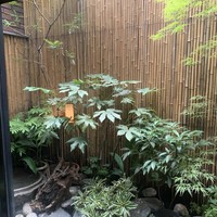 伊豆の旬 やんも 南青山店 - 