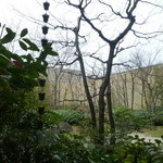 Aisai - 窓から中庭が見えます～中央には梅の花が・・